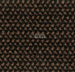 Грязезащитные покрытия Forbo Coral T32 320037200 Brown фото 1 | FLOORDEALER